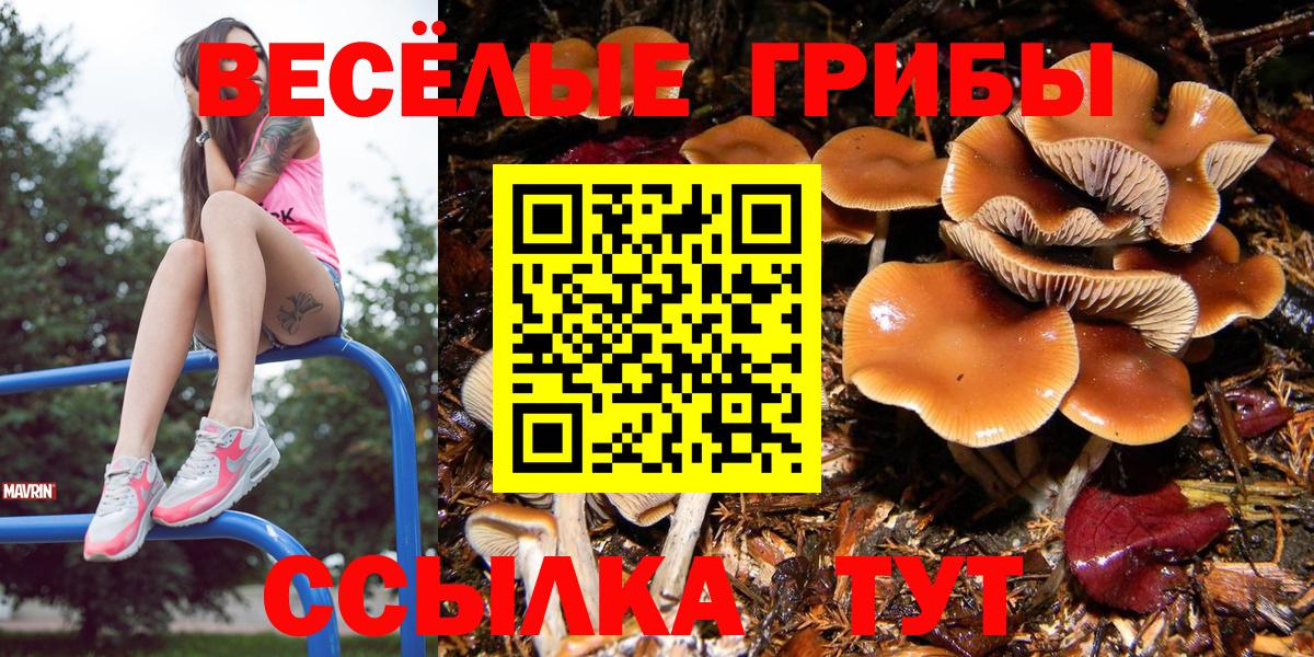 Псилоцибиновые грибы Октябрьский