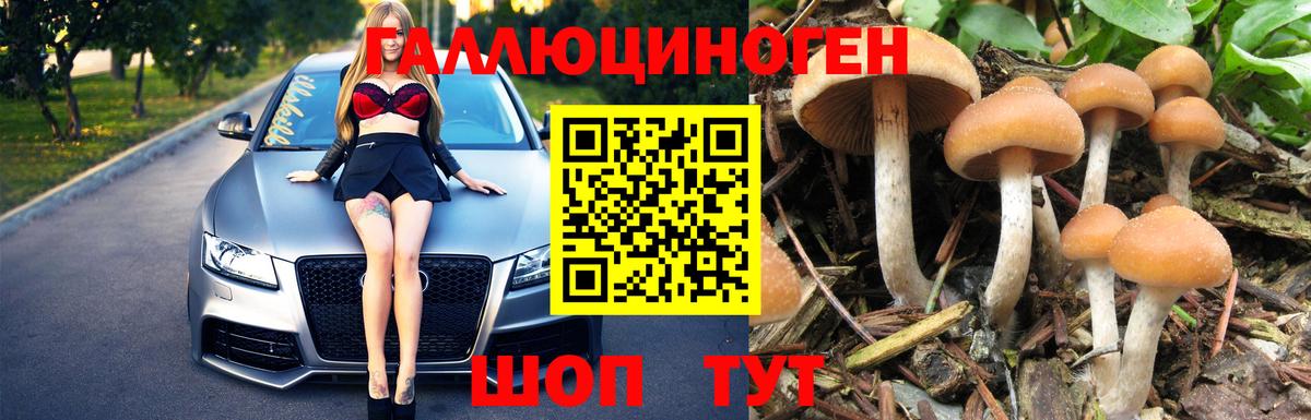 Галлюциногенные грибы GOLDEN TEACHER  Вход с VPN  что такое   Октябрьский 